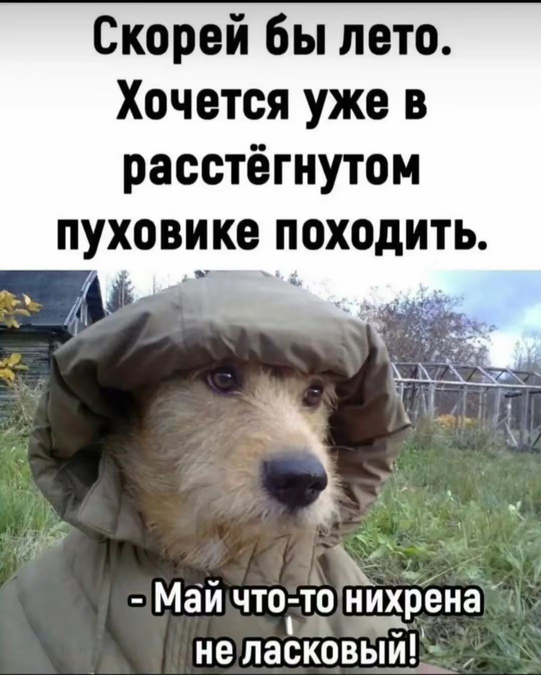 Скорей бы лета. Хочется уже в расстёгнутом пуховике походить.
- Май что-то нихрена не ласковый!