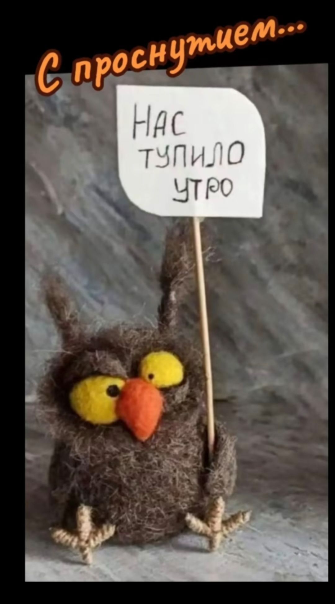 С проснутим...
НАС ТУПИЛО УТРО