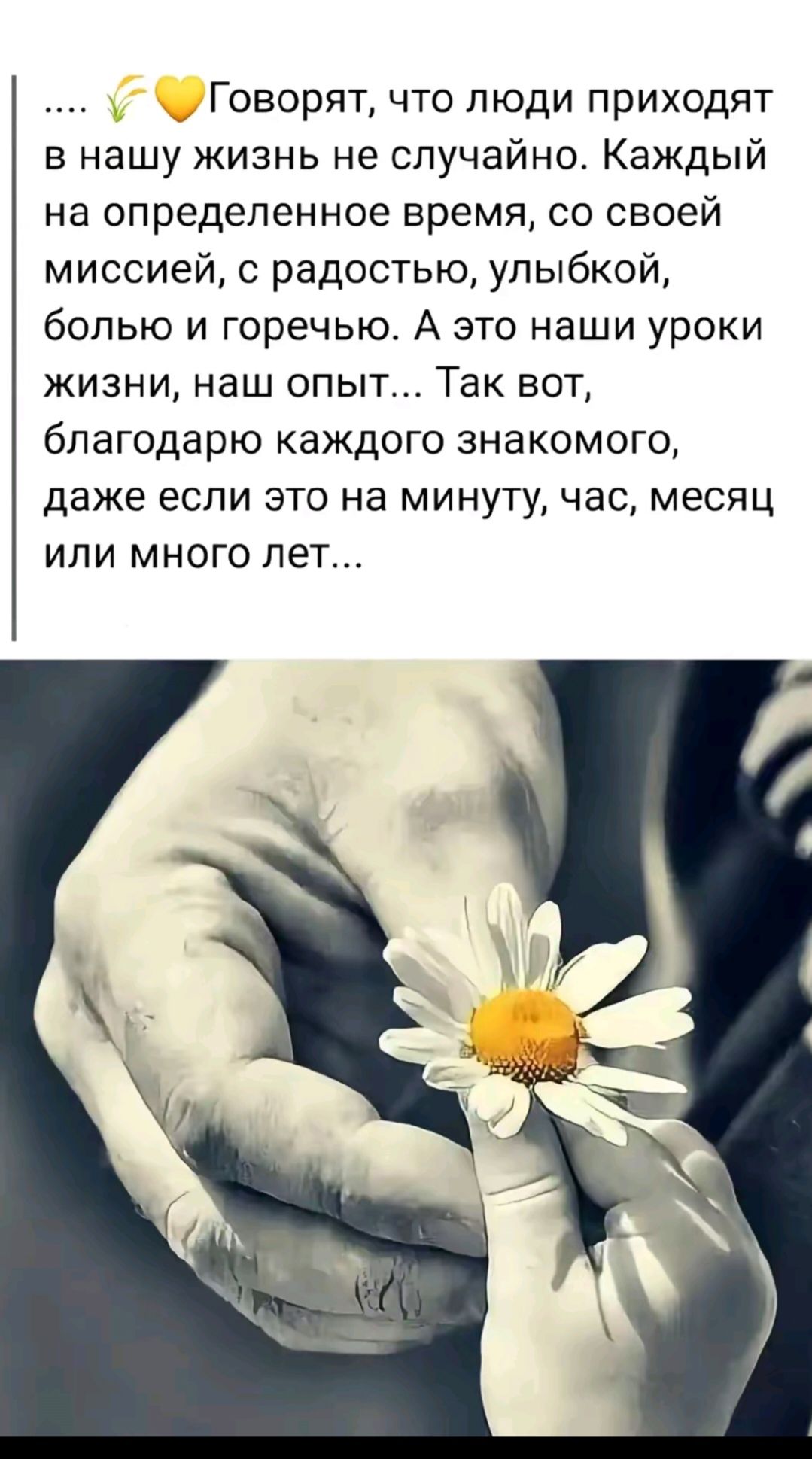 Говорят, что люди приходят в нашу жизнь не случайно. Каждый на определённое время, со своей миссией, с радостью, улыбкой, болью и горечью. А это наши уроки жизни, наш опыт... Так вот, благодарю каждого знакомого, даже если это на минуту, час, месяц или много лет...