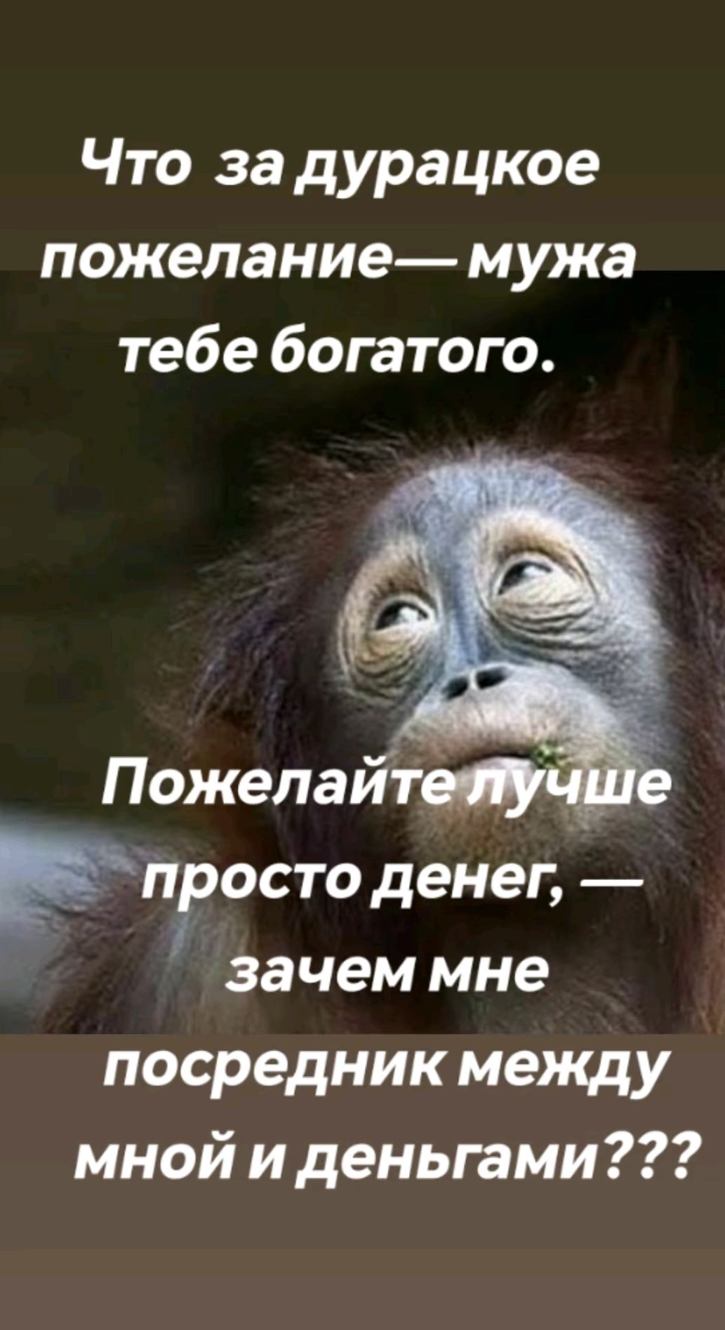 Что за дурацкое пожелание — мужа тебе богатого. Пожелайте лучше просто денег, — зачем мне посредник между мной и деньгами???