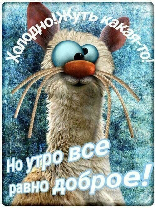 Холодно! Жуть какая-то! Но утро все равно доброе!