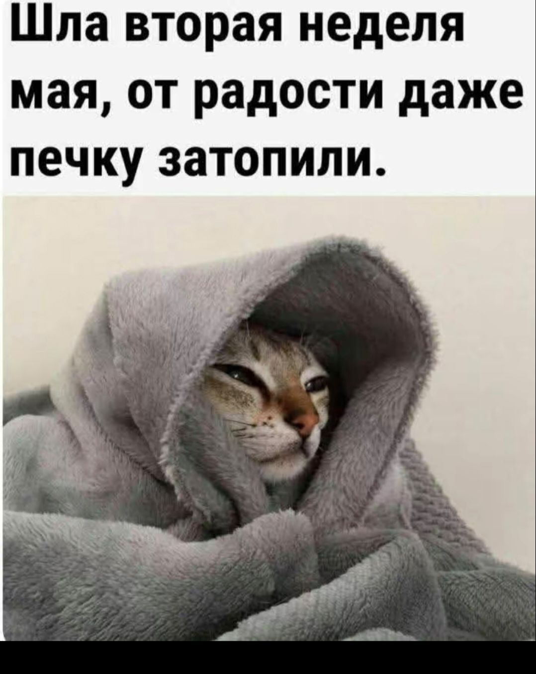 Шла вторая неделя мая, от радости даже печку затопили.