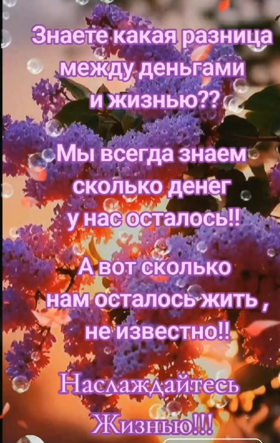 Знаете какая разница между деньгами и жизнью??
Мы всегда знаем сколько денег у нас осталось!!
А вот сколько нам осталось жить, не известно!!
Наслаждайтесь Жизнью!!!