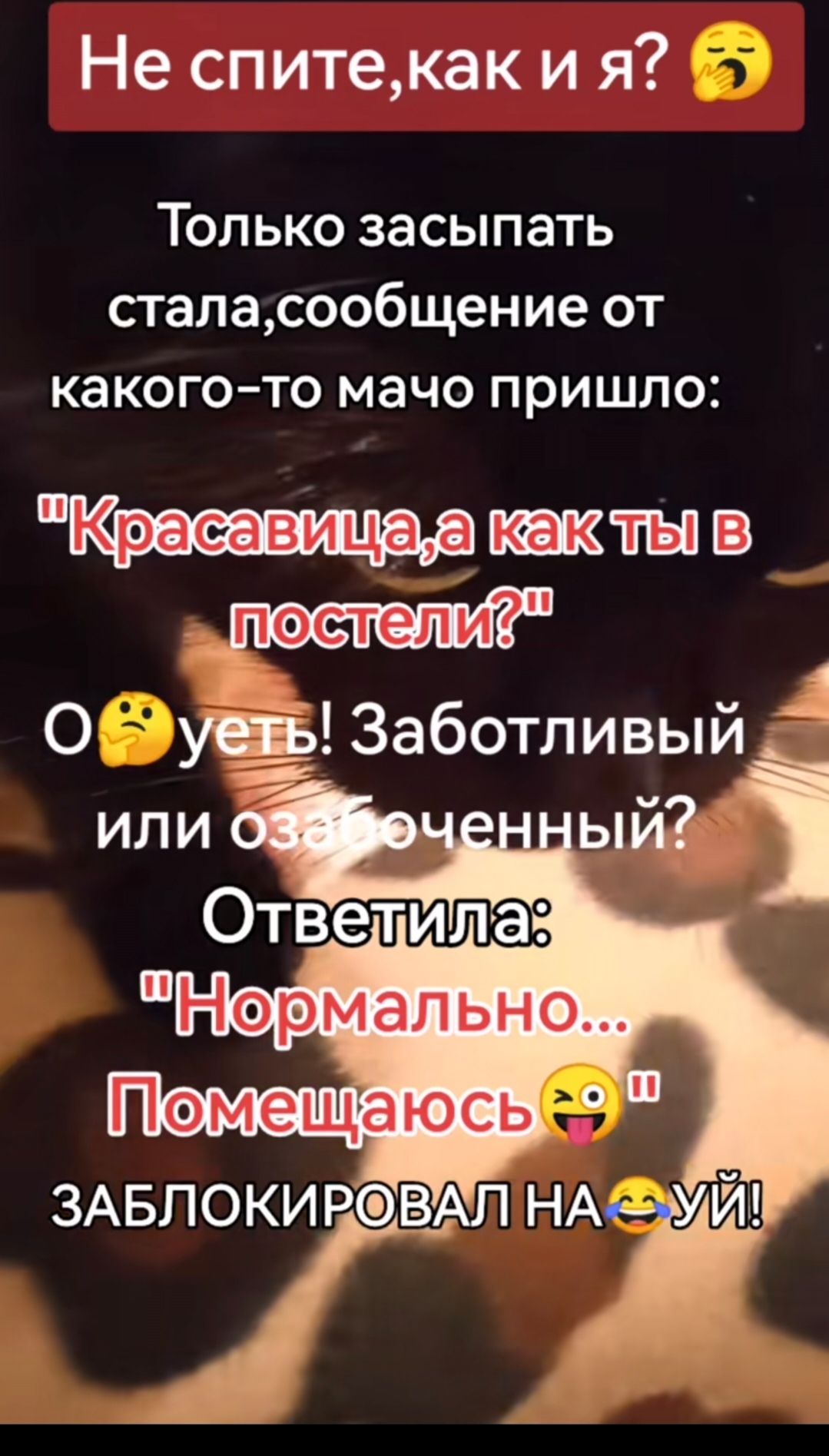 Не спите, как и я? 🤒
Только засыпать стала, сообщение от какого-то мачо пришло:
