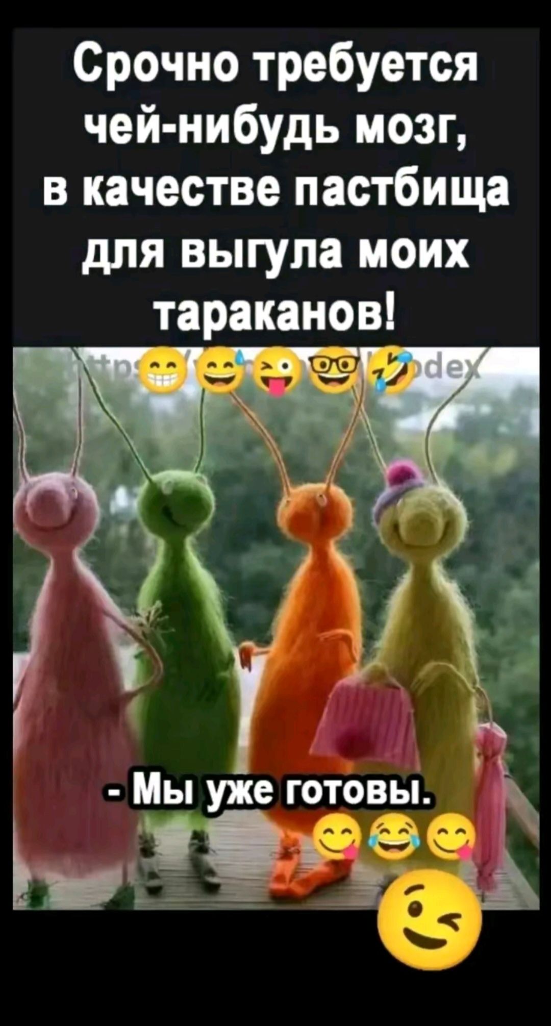 Срочно требуется чей-нибудь мозг, в качестве пастбища для выгула моих тараканов! - Мы уже готовы.