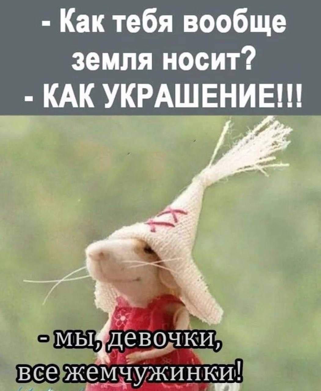 - Как тебя вообще земля носит? 
- КАК УКРАШЕНИЕ!!! 
- мы, девочки, все жемчужинки!