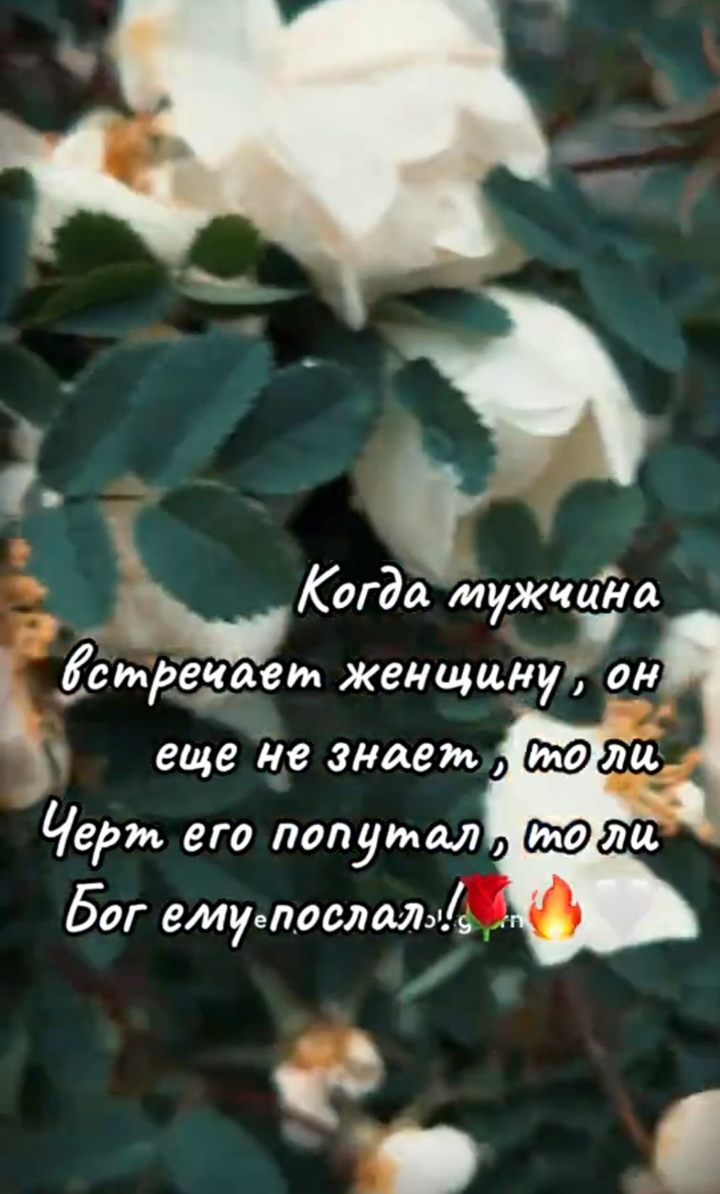Когда мужчина встречает женщину, он еще не знает, то ли Черт его попутал, то ли Бог ему послал!
