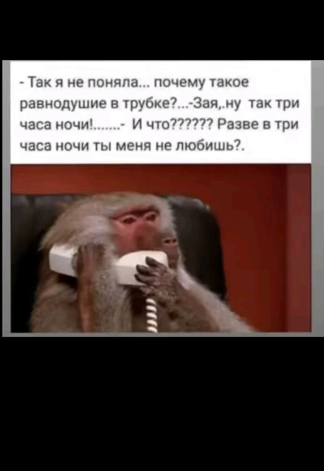 - Так я не поняла... почему такое равнодушие в трубке?...-Зая, ну так три часа ночи!.......- И что?????? Разве в три часа ночи ты меня не любишь?