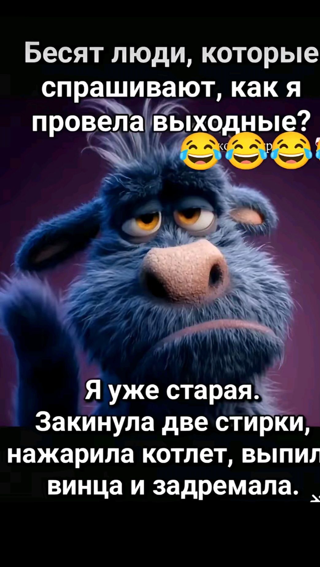 Бесят люди, которые спрашивают, как я провела выходные? 😂😂😂 Я уже старая. Закинула две стирки, нажарила котлет, выпила винца и задремала.