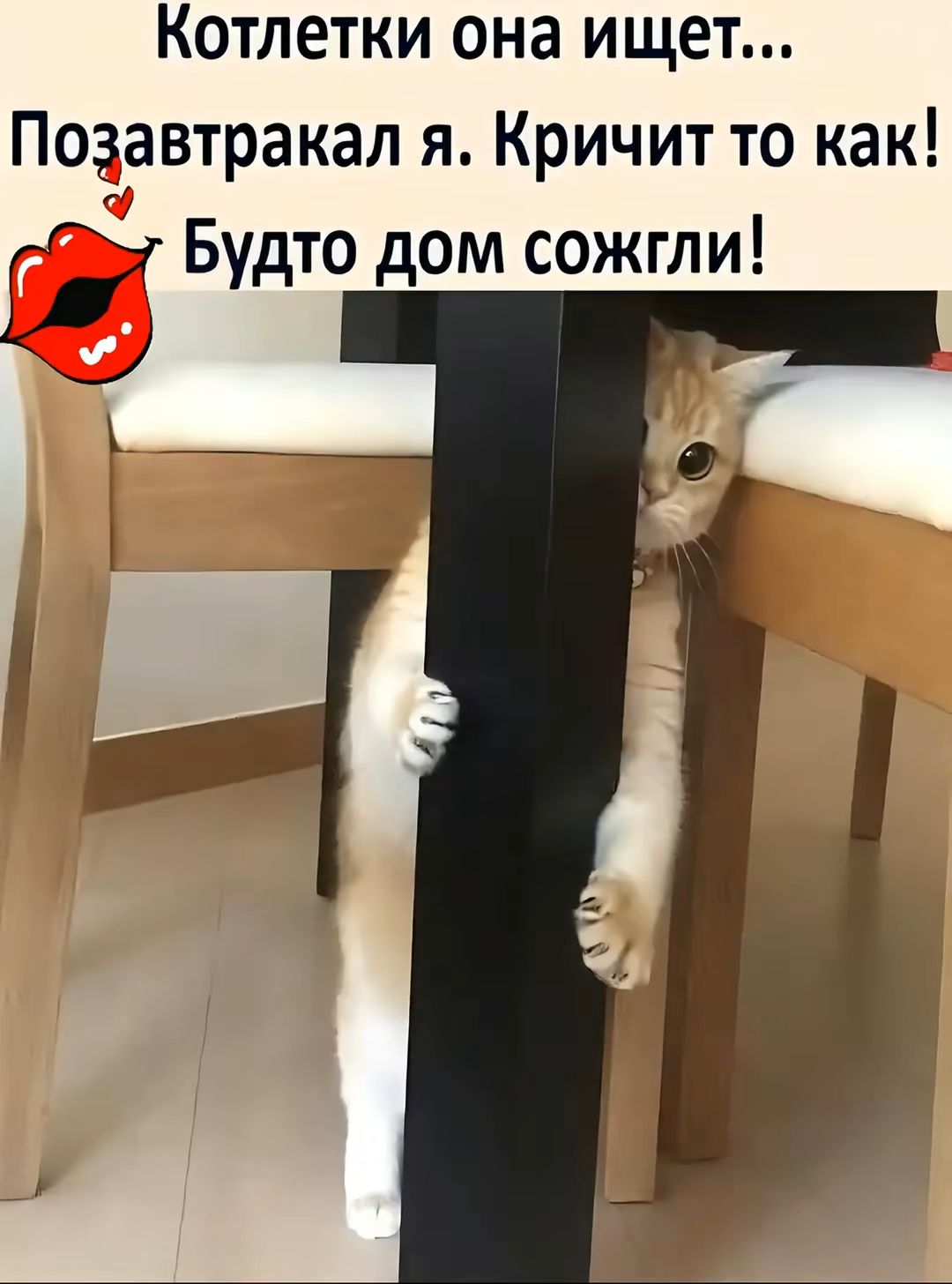 Котлетки она ищет... Позавтракал я. Критит то как! Будто дом сожгли!