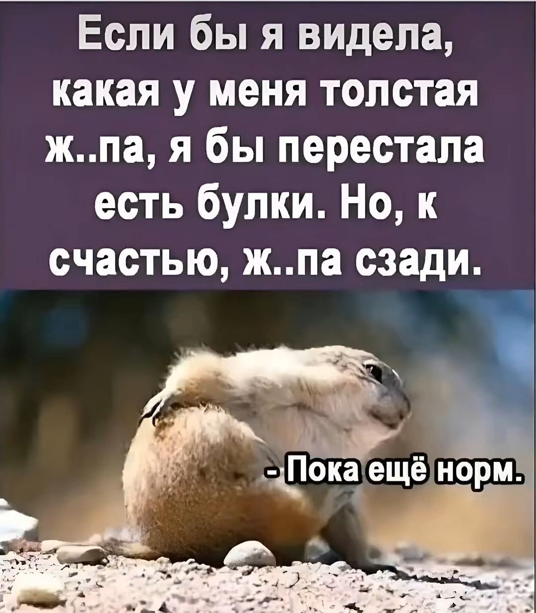 Если бы я видела, какая у меня толстая ж..па, я бы перестала есть булки. Но, к счастью, ж..па сзади.
- Пока ещё норм.