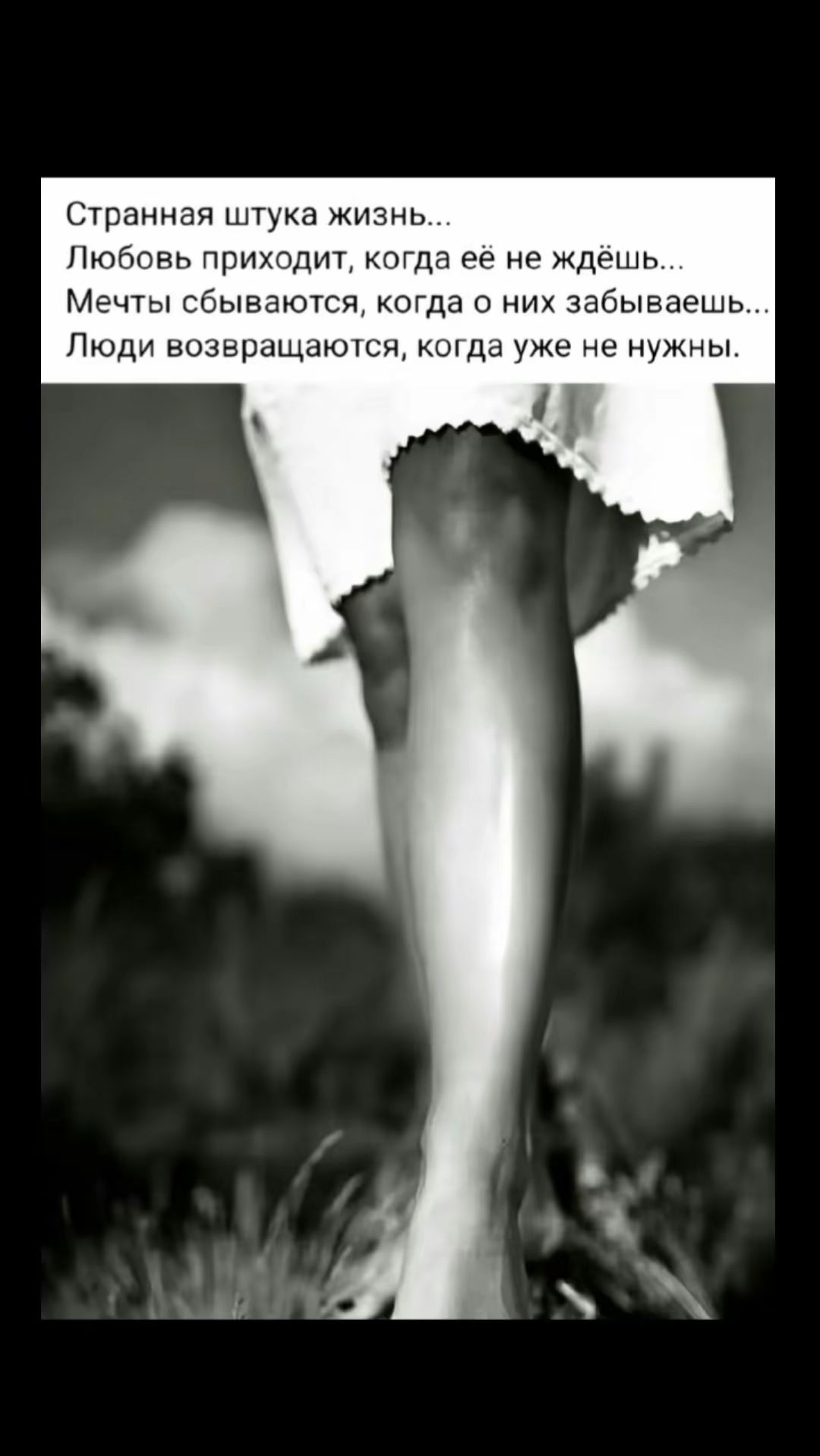 Странная штука жизнь...
Любовь приходит, когда её не ждёшь...
Мечты сбываются, когда о них забываешь...
Люди возвращаются, когда уже не нужны.
