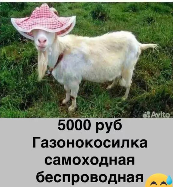 5000 руб Гazonokosilka samohodnaya besprovodnaya