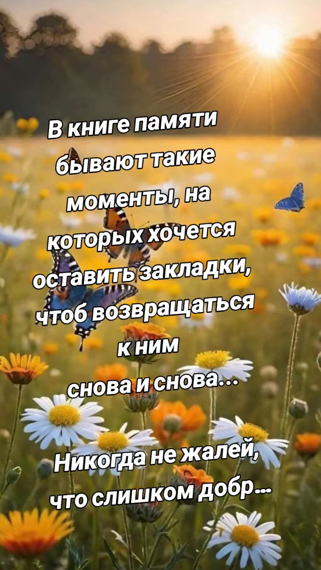 В книге памяти бывают такие моменты, на которых хочется оставить закладки, чтобы возвращаться к ним снова и снова... Никогда не жалея, что слишком добр...