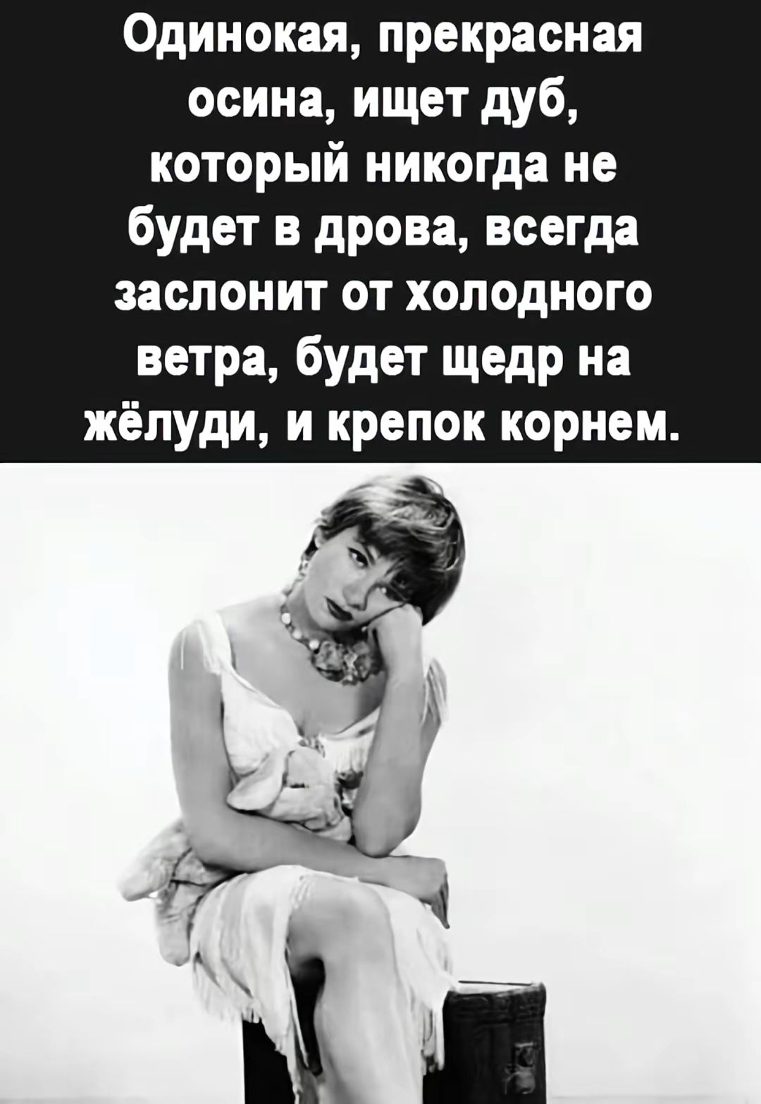 Одинокая, прекрасная осина, ищет дуб, который никогда не будет в дрова, всегда заслонит от холодного ветра, будет щедр на жёлуди, и крепок корнем.