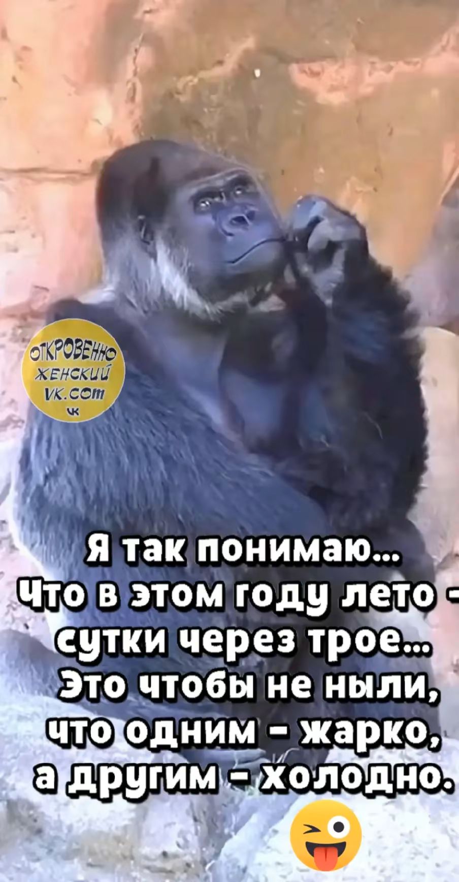 Я так понимаю... Что в этом году лето - сутки через трое... Это чтобы не ныл, что одним - жарко, а другим - холодно.