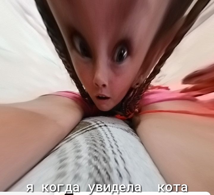 5 д КОЫ