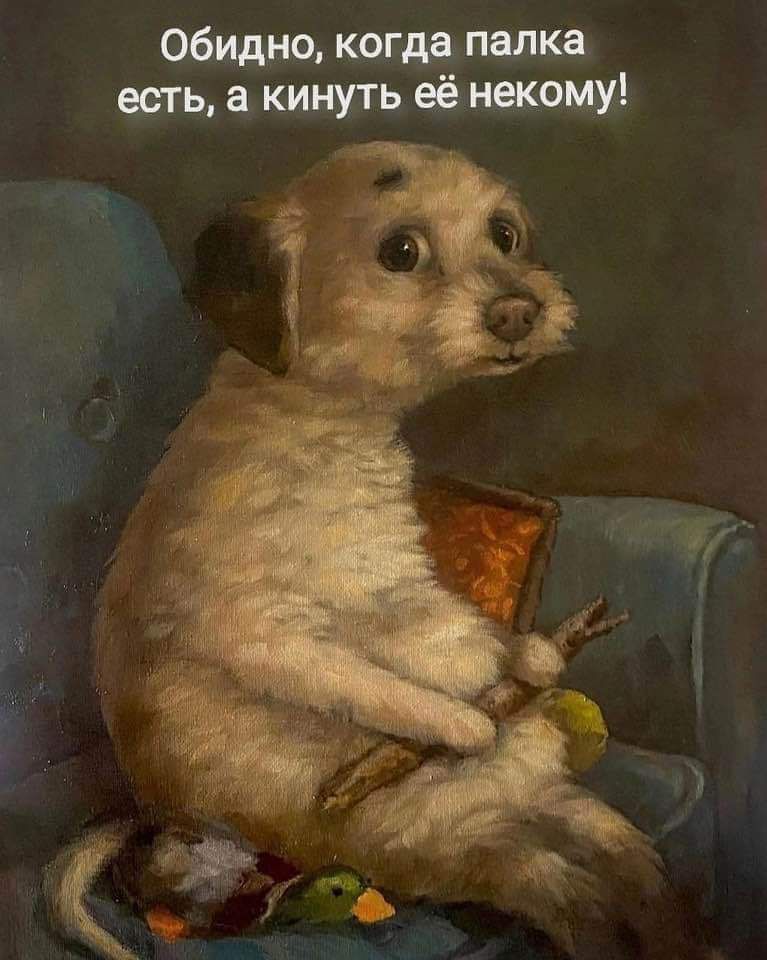 Обидно, когда палка есть, а кинуть её некому!