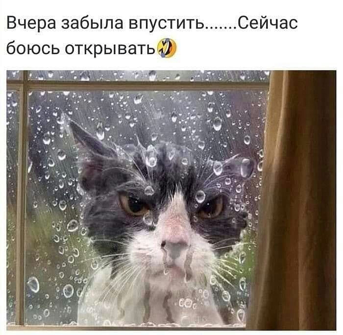 Вчера забыла впустить Сейчас боюсь открывать