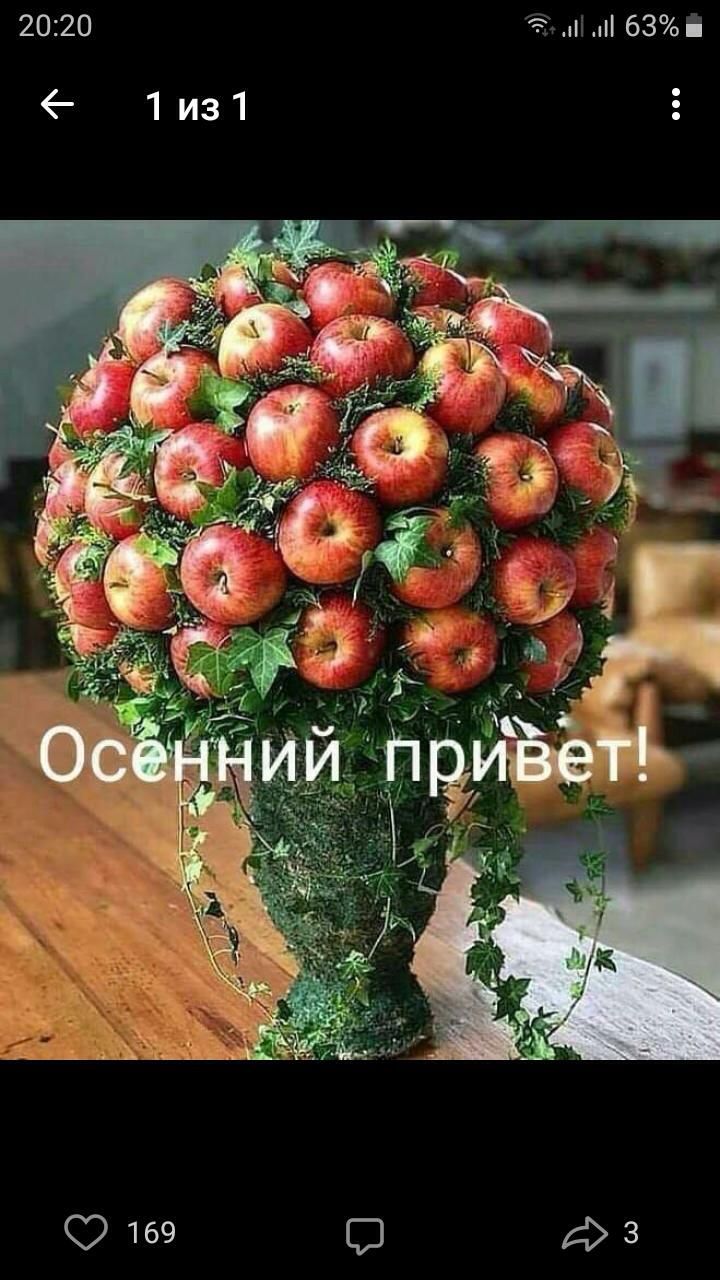 і 63 2020 1из1