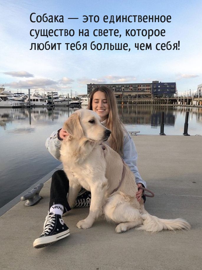 Собака это единственное существо на свете которое любит тебя больше чем себя