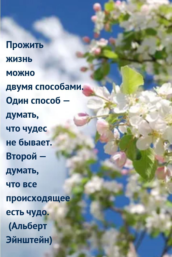 Прожить жизнь можно дв мя способами У Один способ мать ду что чудес не бывает Второй ф думать что все происходяще есть чудкі Альберт Эйнштейн