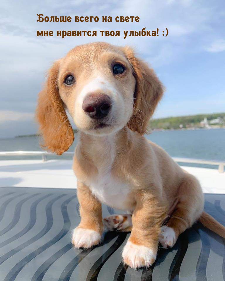 БОЛЬШЕ ВСЕГО иа СВЕТЕ мне нравится твоя улыбка