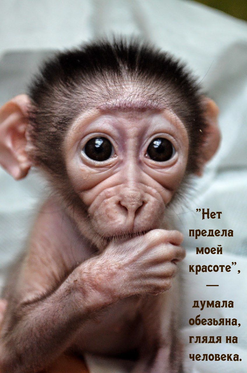 предела моей красоте думала еаьяна глядя на человека