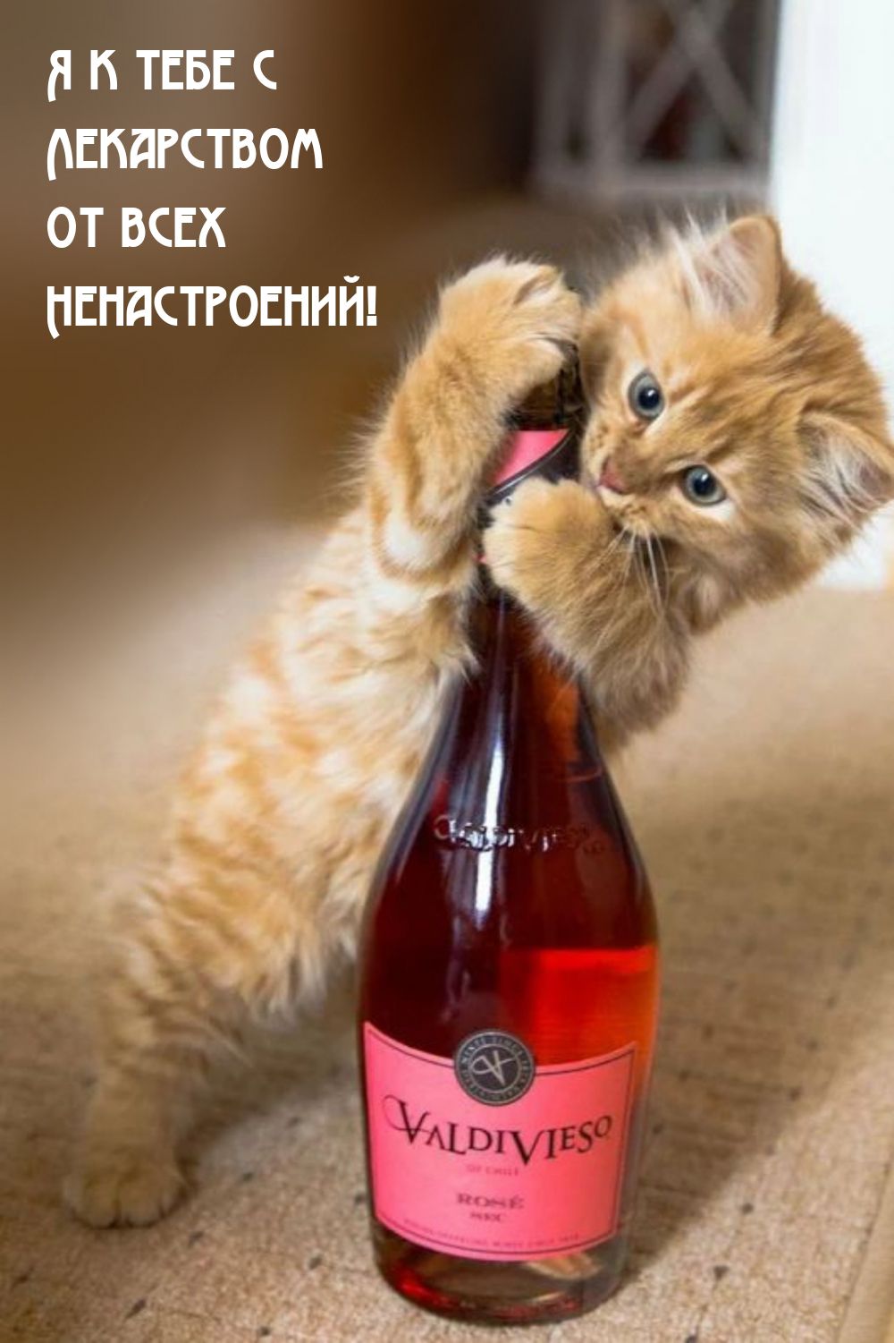 п и та дшпствоп от всих пипистгоснийі