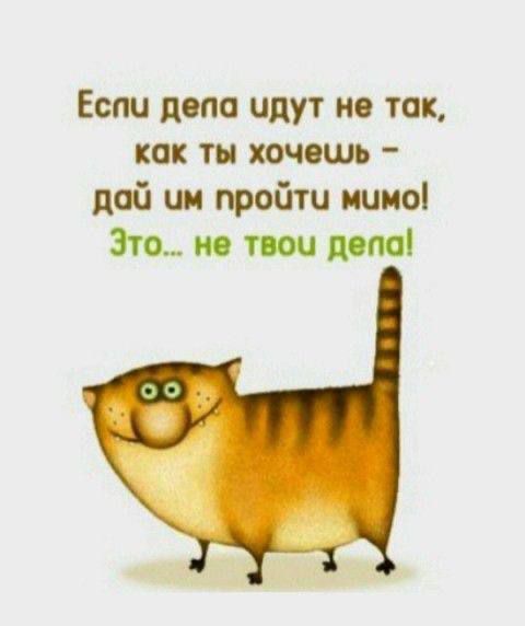 Еспи депо идут но так как ты хочешь пой ии пройти иииоі Это и пои дом