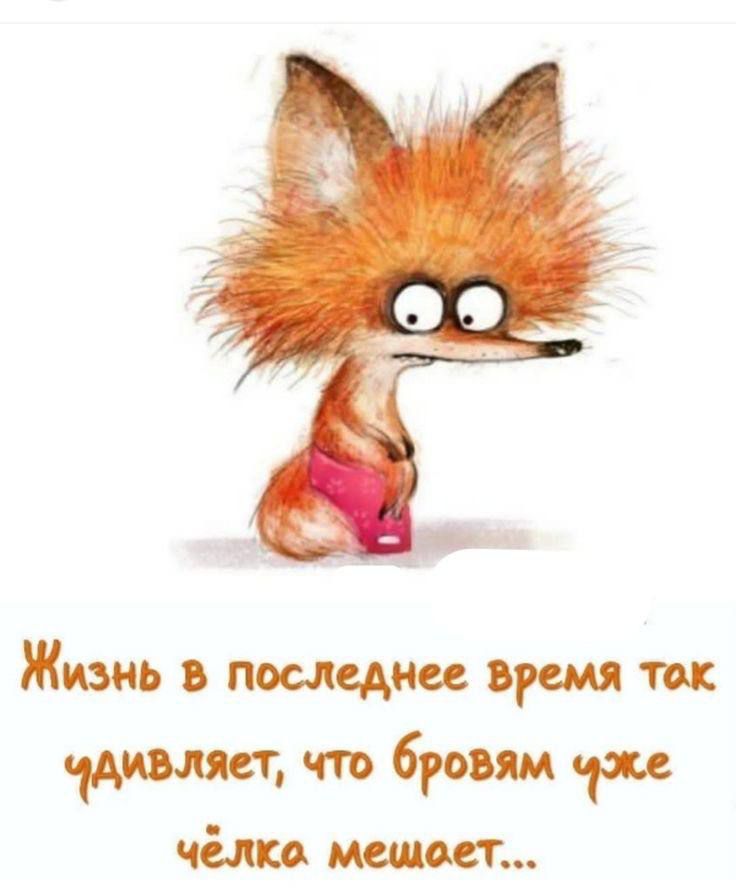 Жизнь последне время то т брони рп