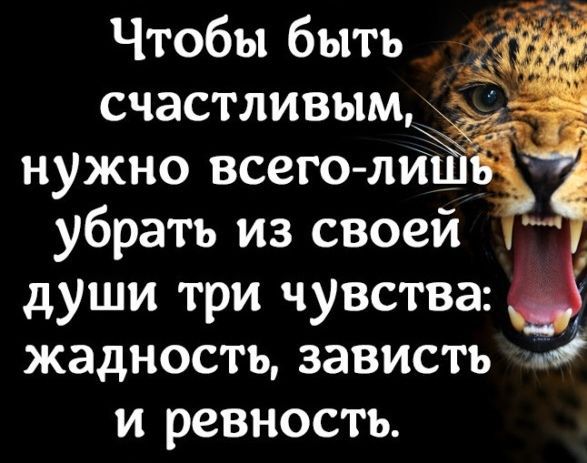 Чтобы быть счастливым нужно всего тий убрать из своей души три чувства _ жадность зависть и ревность