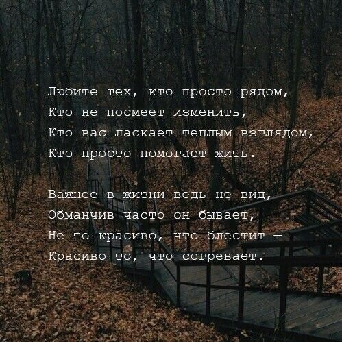 Любите тех кто просто рядом Кто не посмеет изменить цін Кто на ласкает тег Кто ж ветвь