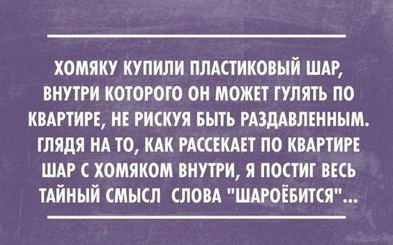 ХОМЯКУ КУПИЛИ ЛЛАСТИКОВЫЙ ШАР ВНУТРИ КОТОРОГО ОН МОЖЕТ ГУЛЯТЬ ПО КВАРТИРЕ НЕ РИСКУЯ БЫТЬ РАЗдАВЛЕННЫМ ГЛЯДЯ НА ТО КАК РАССЕКАЕТ ПО КВАРТИРЕ ШАР С ХОМЯКОМ ВНУТРИ Я ПОСТИТ ВЕСЬ ТАЙНЫЙ СМЫСЛ СЛОВА ШАРОЕБИТСЯ