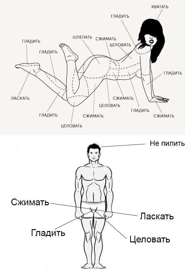 Гладить, сжимать, целовать, ласкать, шлепать, хватать, не пилить.