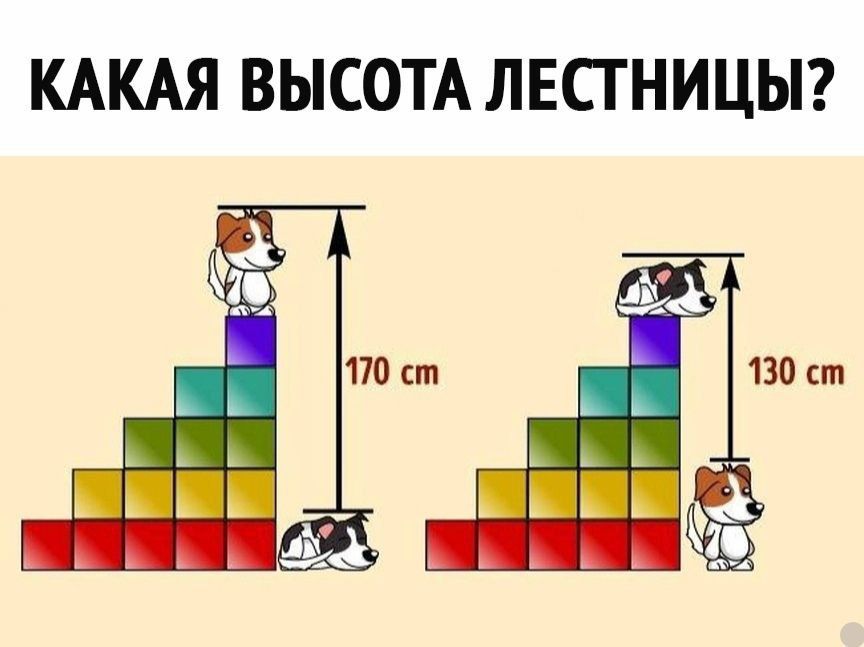 КАКАЯ ВЫСОТА ЛЕСТНИЦЫ?