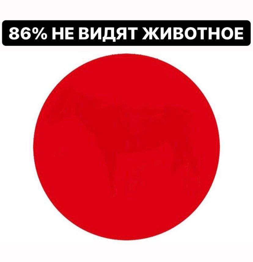 86% НЕ ВИДЯТ ЖИВОТНОЕ