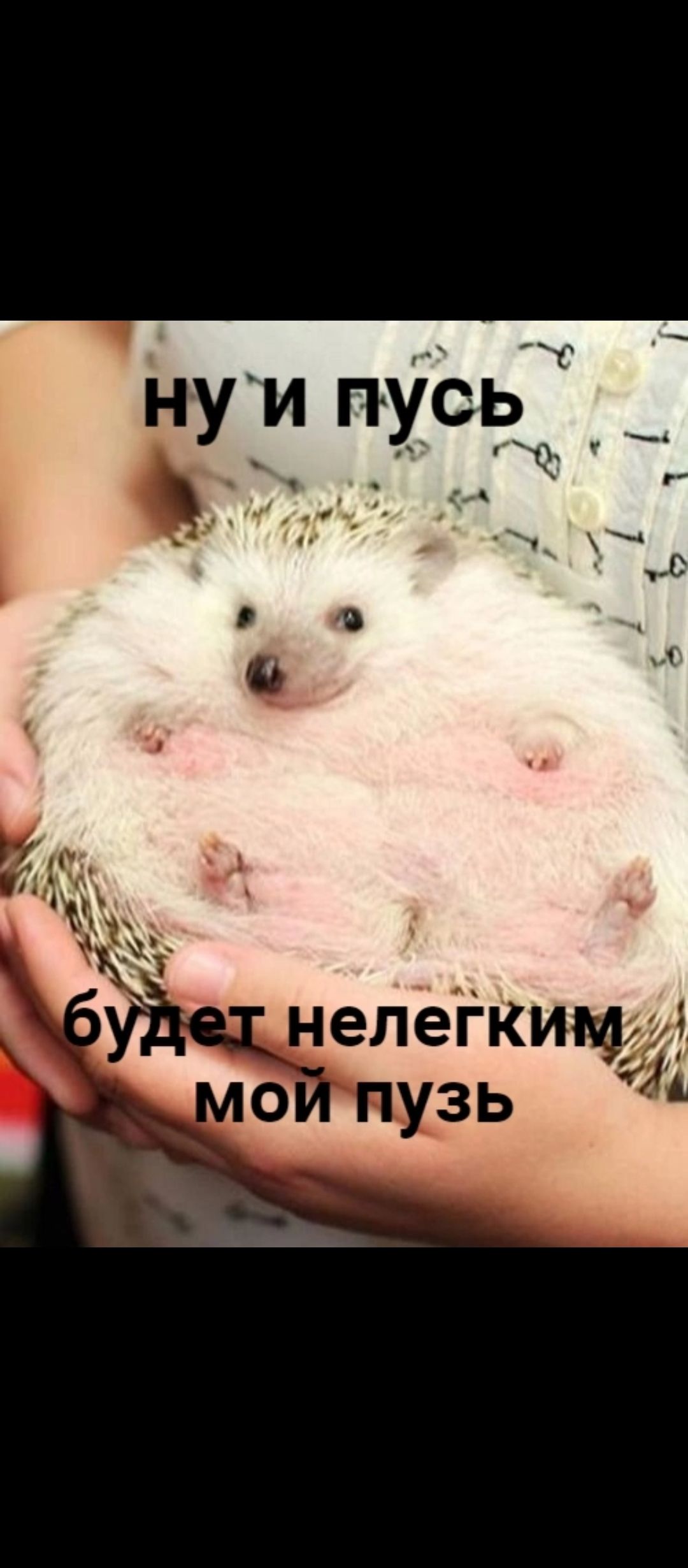 елёікицаг зь