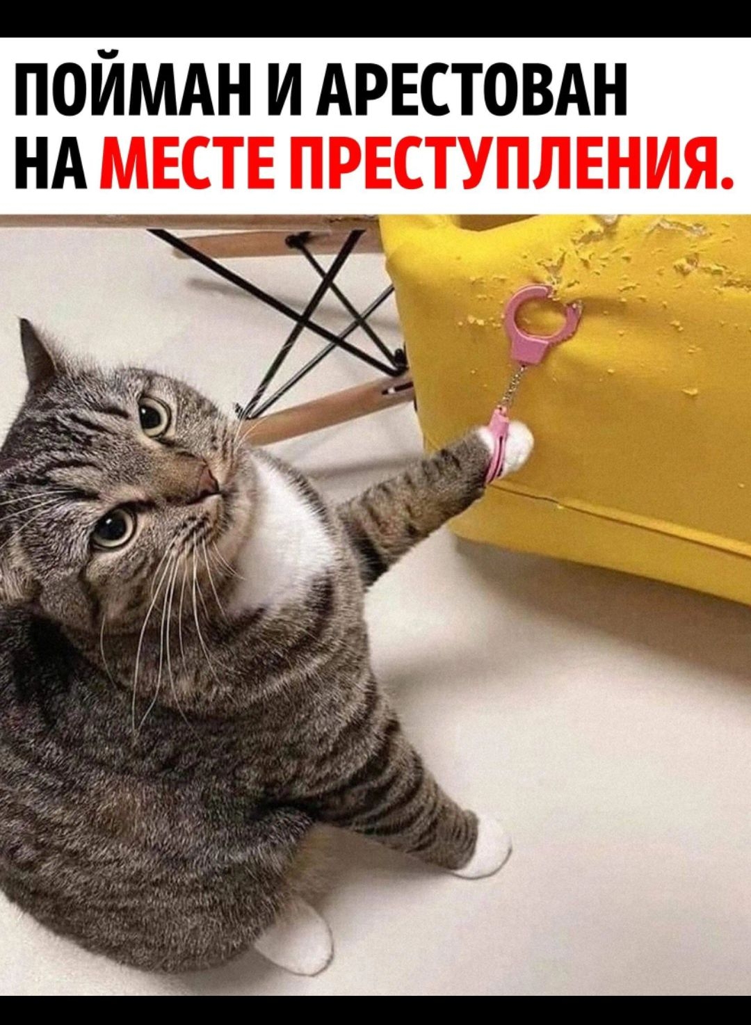 1204 ПЭМ ЩЁ ПОЙМАН И АРЕСТОВАН НА МЕСТЕ ПРЕСТУПЛЕНИЯ