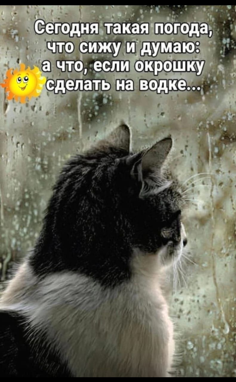 Сегодня такая погода, что сижу и думаю: а что, если окрошку сделать на водке...