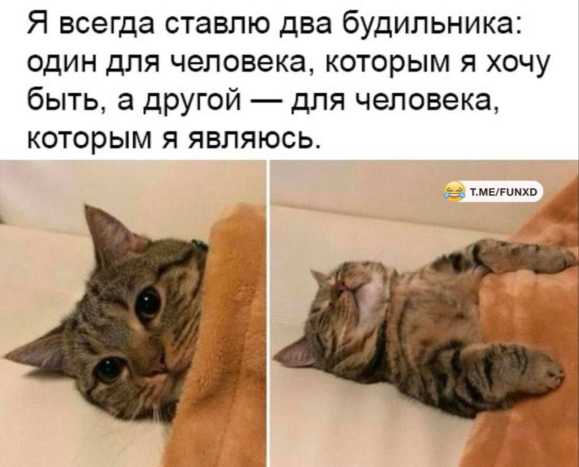 Я всегда ставлю два будильника: один для человека, которым я хочу быть, а другой — для человека, которым я являюсь.