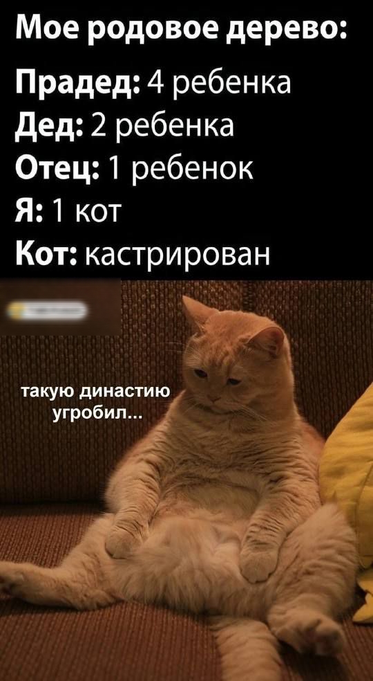 Мое родовое дерево:
Прадед: 4 ребенка
Дед: 2 ребенка
Отец: 1 ребенок
Я: 1 кот
Кот: кастрирован
такую династию угробил...