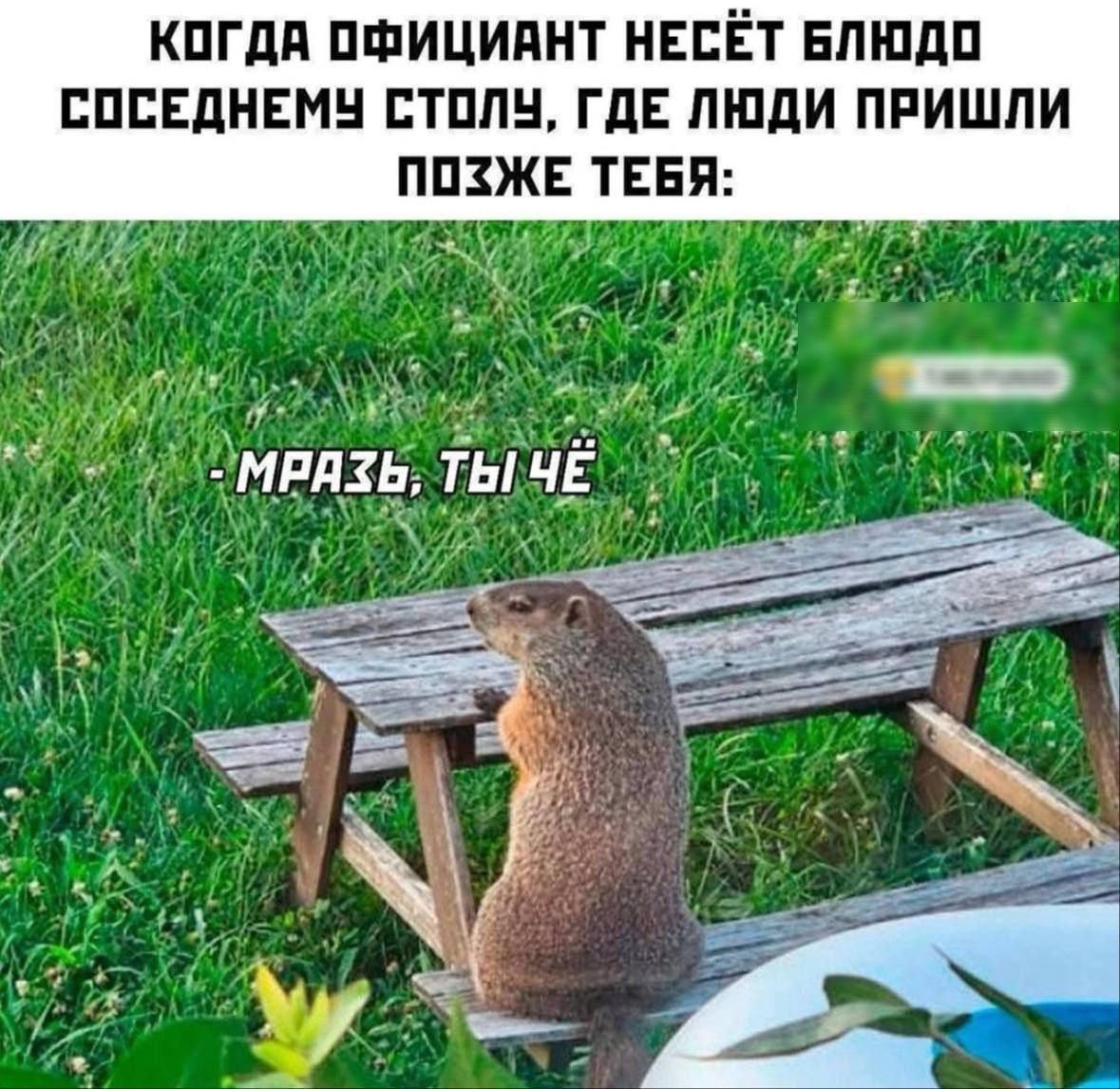Когда официант несёт блюдо соседнему столу, где люди пришли позже тебя:
- Мразь, ты чё