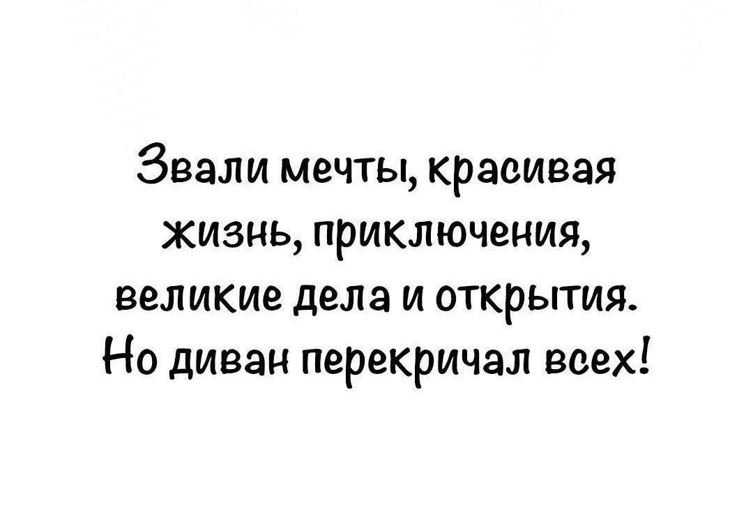 Звали мечты, красивая жизнь, приключения, великие дела и открытия. Но диван перекричал всех!