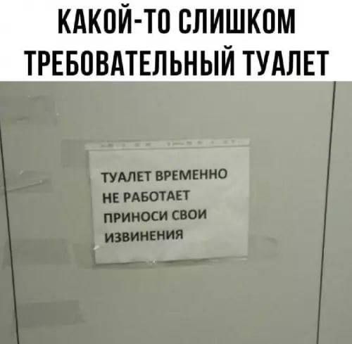 КАКОЙ-ТО СЛИШКОМ ТРЕБОВАТЕЛЬНЫЙ ТУАЛЕТ
ТУАЛЕТ ВРЕМЕННО НЕ РАБОТАЕТ
ПРИНОСИ СВОИ ИЗВИНЕНИЯ