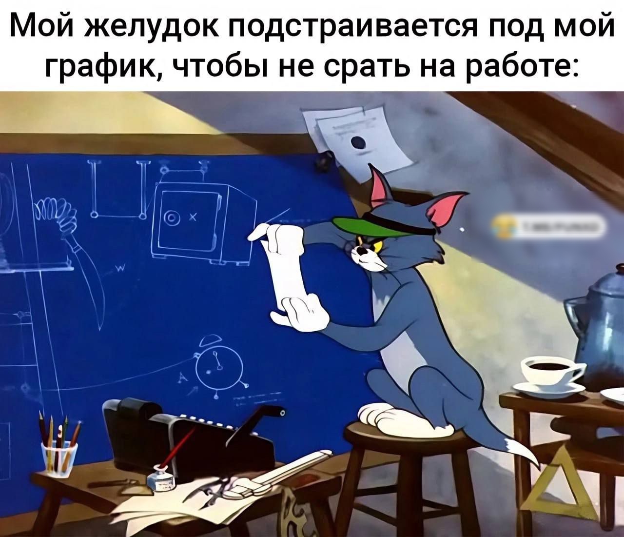 Мой желудок подстраивается под мой график, чтобы не срать на работе: