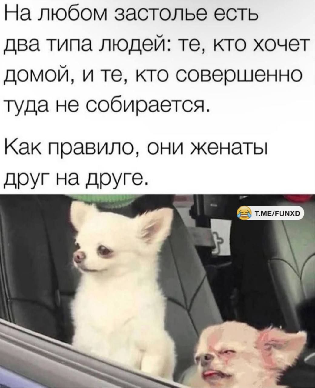 На любом застолье есть два типа людей: те, кто хочет домой, и те, кто совершенно туда не собирается.
Как правило, они женаты друг на друге.