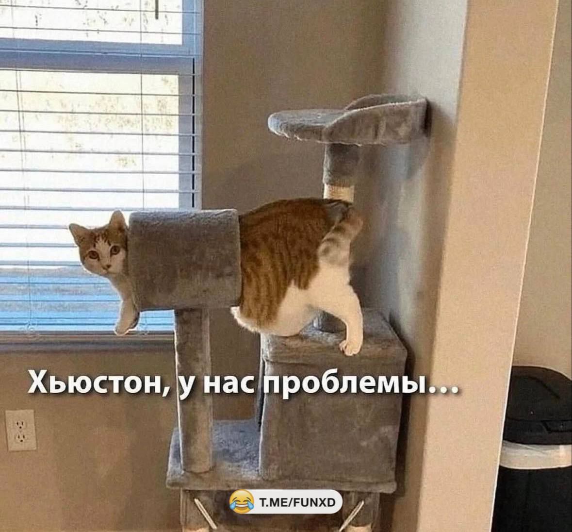 Хьюстон, у нас проблемы...