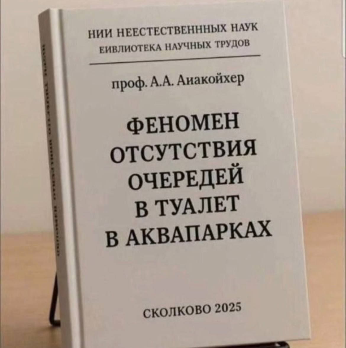 ФЕНОМЕН ОТСУТСТВИЯ ОЧЕРЕДЕЙ В ТУАЛЕТ В АКВАПАРКАХ
проф. А.А. АйакоЙхер
СКОЛКОВО 2025