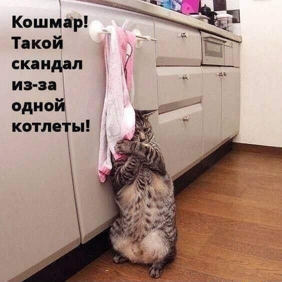 А _ а Такой спид л 1 __Ь ив вя одной котле Ён